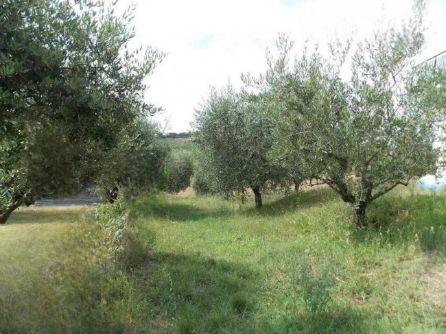 Casa indipendente in vendita a Offida