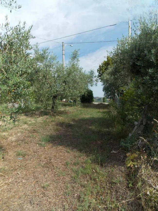 Casa indipendente in vendita a Offida
