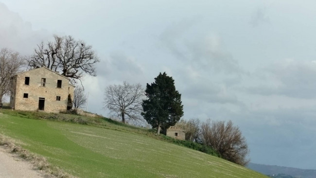 Casale Colonico in vendita a Offida