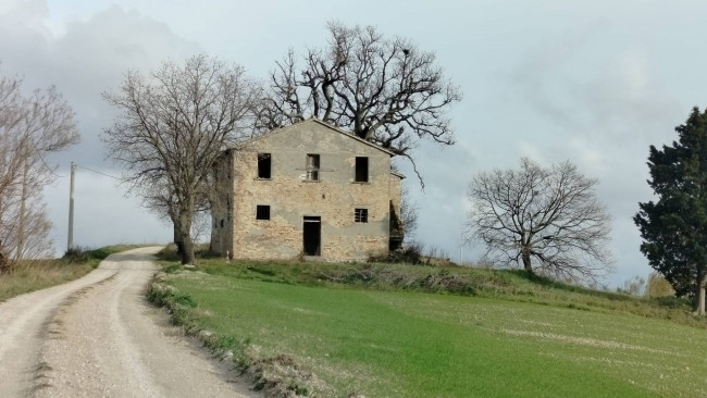 Casale Colonico in vendita a Offida