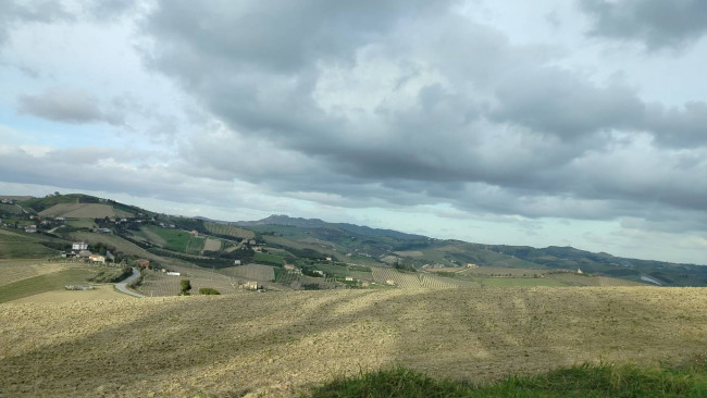 Casale Colonico in vendita a Offida