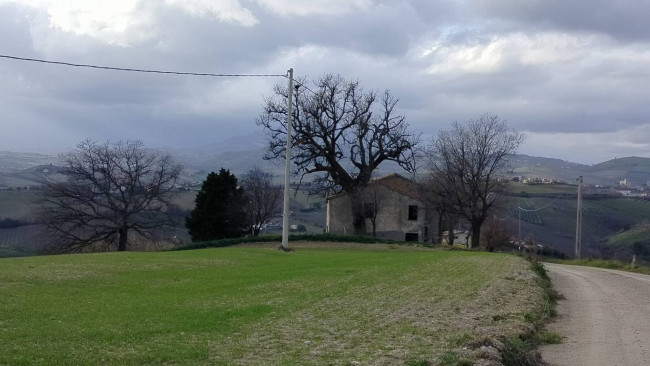 Casale Colonico in vendita a Offida