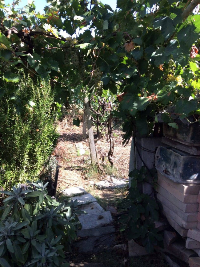 Villa Bifamiliare in vendita a Ripatransone