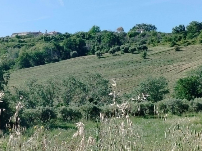 Casolare in vendita a Castignano