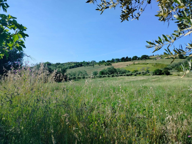 Casolare in vendita a Castignano