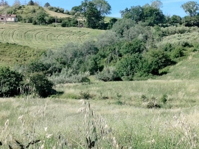 Casolare in vendita a Castignano