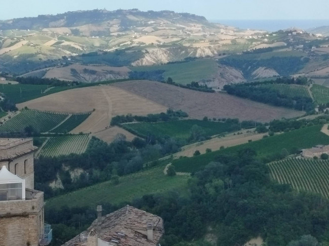 Cielo Terra in vendita a Montalto delle Marche