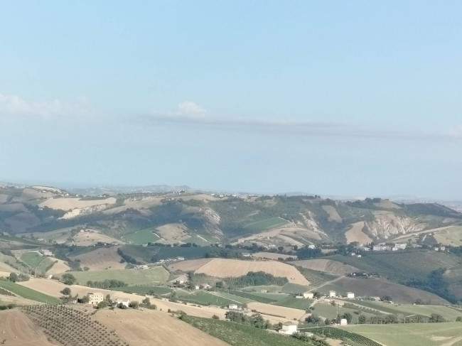 Cielo Terra in vendita a Montalto delle Marche