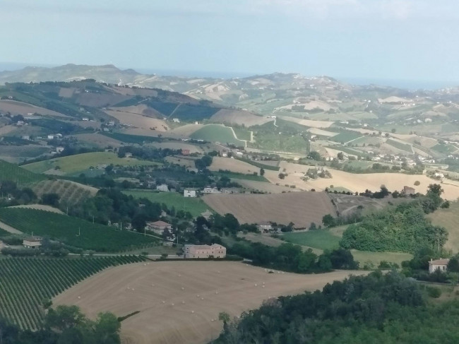 Cielo Terra in vendita a Montalto delle Marche