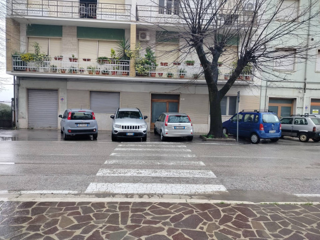 Cielo Terra in vendita a Offida