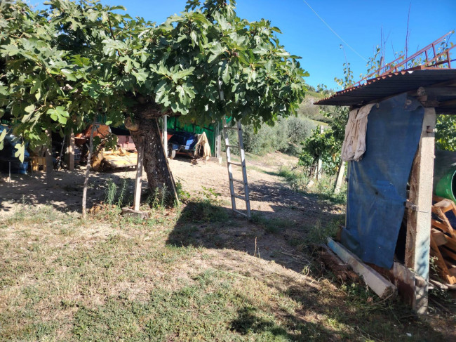 Casale Colonico in vendita a Offida