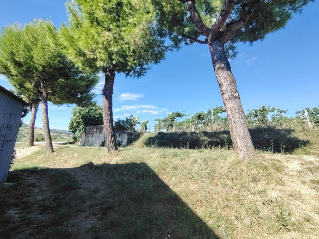 Casale Colonico in vendita a Offida