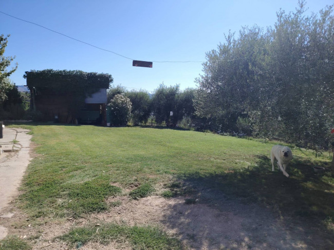 Casale Colonico in vendita a Offida