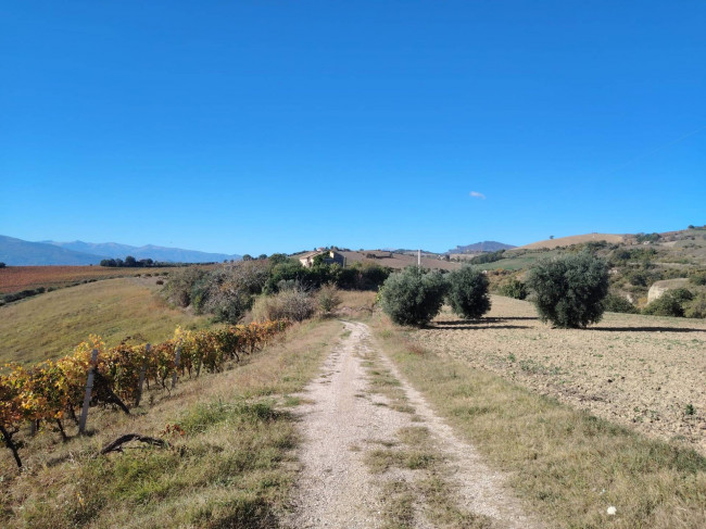 Casale Colonico in vendita a Offida