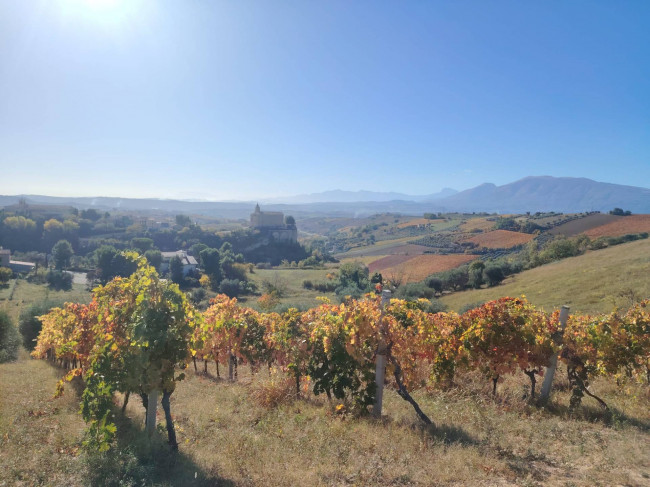 Casale Colonico in vendita a Offida