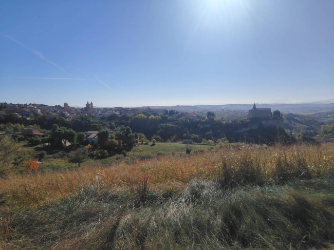 Casale Colonico in vendita a Offida