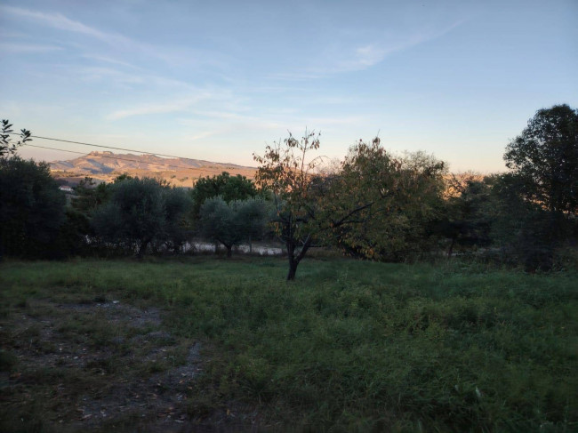 Casa singola in vendita a Offida