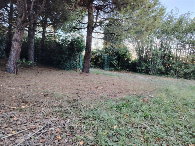 Casa singola in vendita a Offida