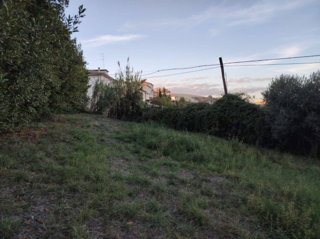 Casa singola in vendita a Offida