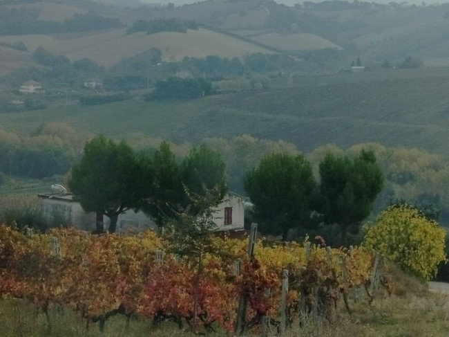 Rustico in vendita a Castignano