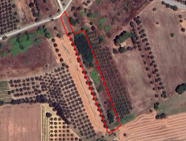 Terreni in vendita a Corropoli