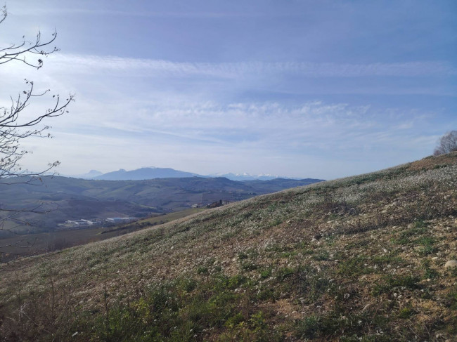 Casa indipendente in vendita a Cossignano