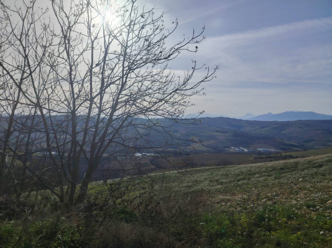 Casa indipendente in vendita a Cossignano