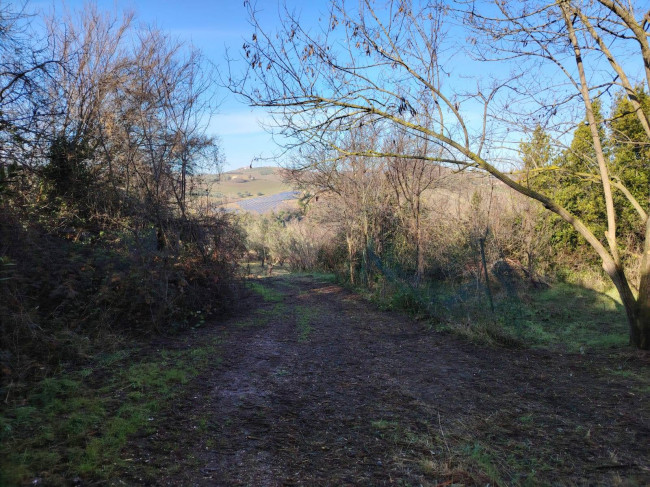 Casa indipendente in vendita a Offida