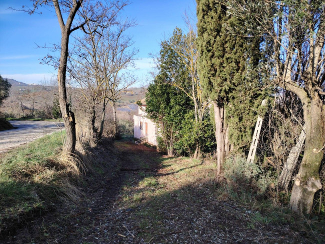 Casa indipendente in vendita a Offida