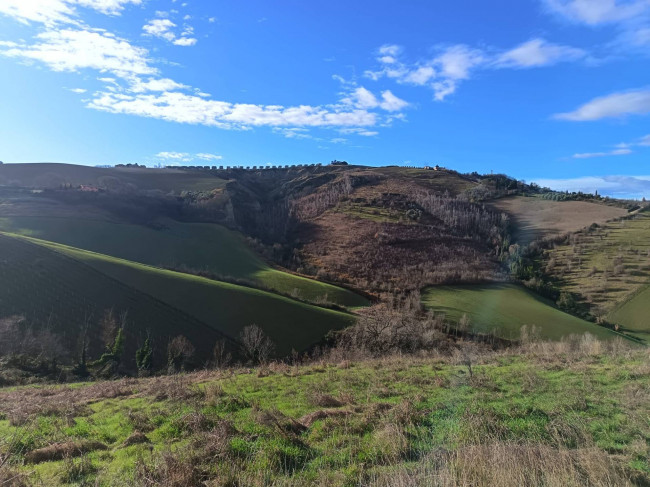 Rudere in vendita a Offida