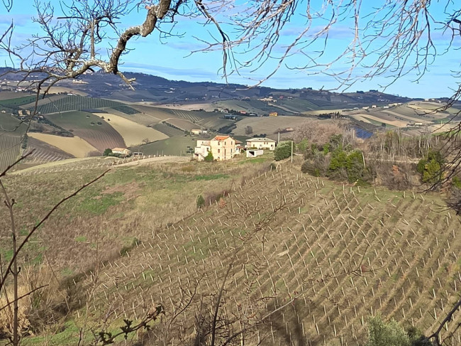 Rudere in vendita a Offida