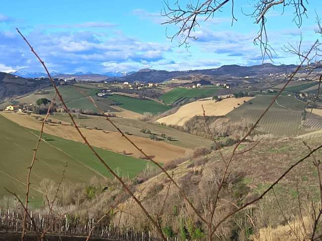 Rudere in vendita a Offida