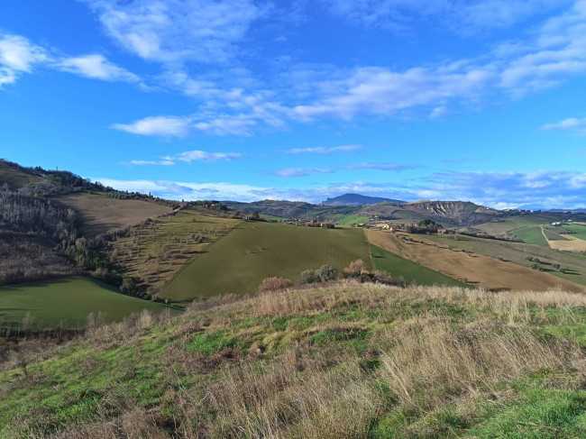 Rudere in vendita a Offida