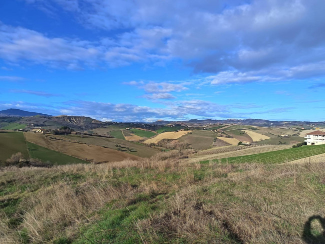 Rudere in vendita a Offida