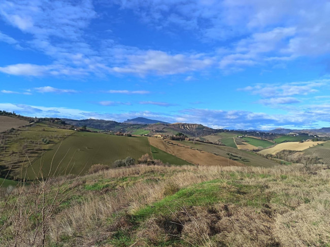 Rudere in vendita a Offida