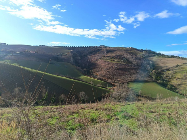 Rudere in vendita a Offida