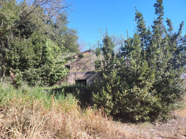 Rudere in vendita a Petritoli
