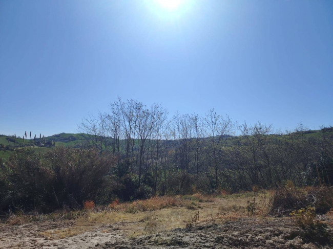 Rudere in vendita a Petritoli
