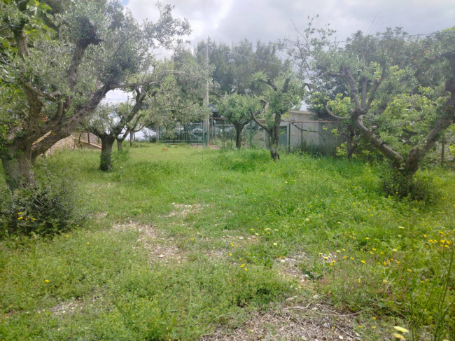Casa singola in vendita a Ripatransone