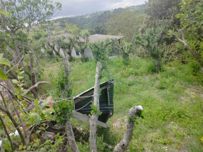 Casa singola in vendita a Ripatransone
