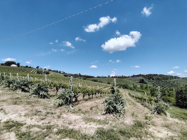 Casa Vacanza in affitto a Offida
