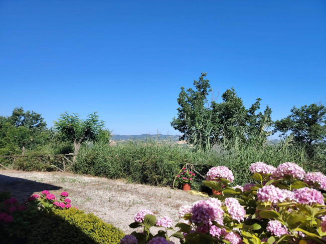 Villa in vendita a Offida