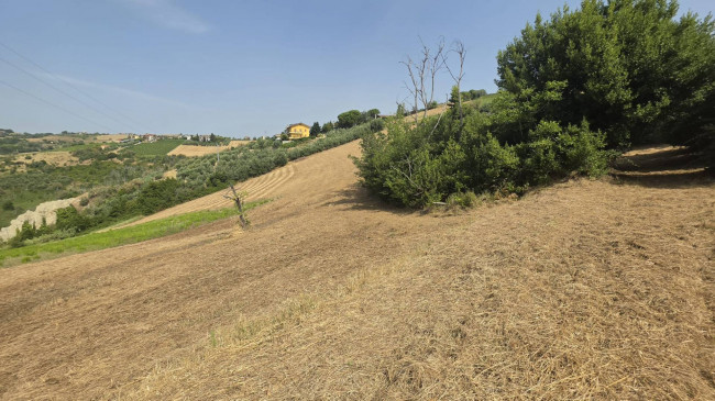 Casa indipendente in vendita a Offida