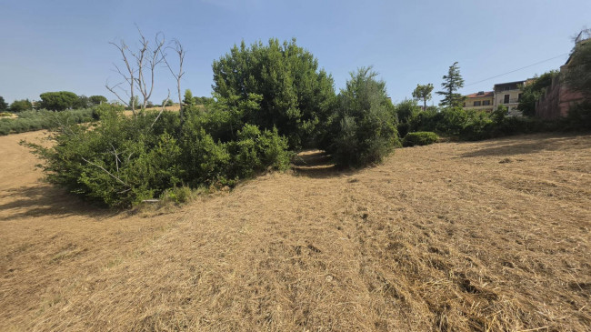 Casa indipendente in vendita a Offida