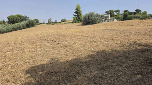 Casa indipendente in vendita a Offida