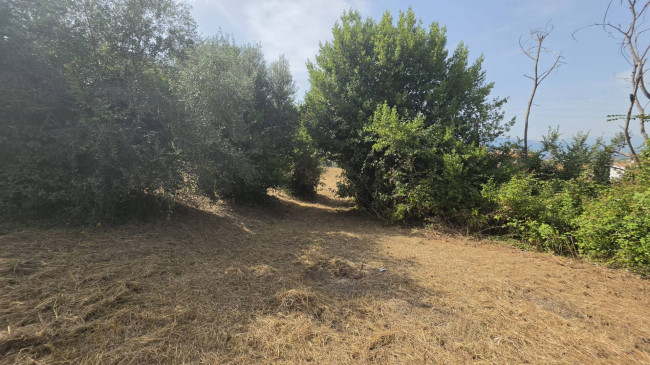 Casa indipendente in vendita a Offida