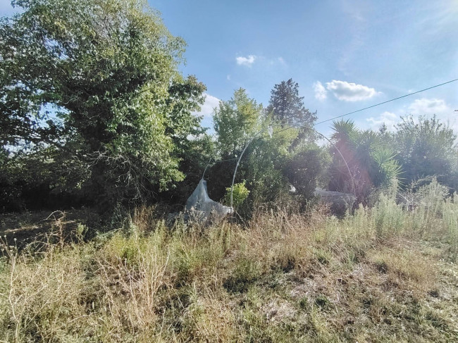Casa indipendente in vendita a Appignano del Tronto