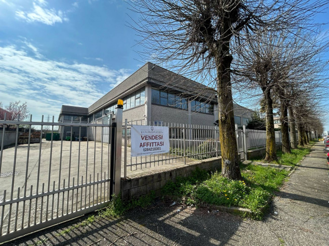 Immobile commerciale/Complesso industriale in vendita a Mesero