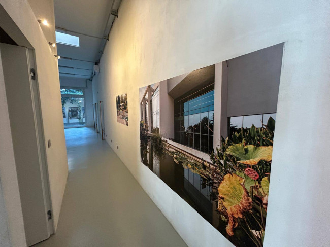 Negozio in affitto a Milano