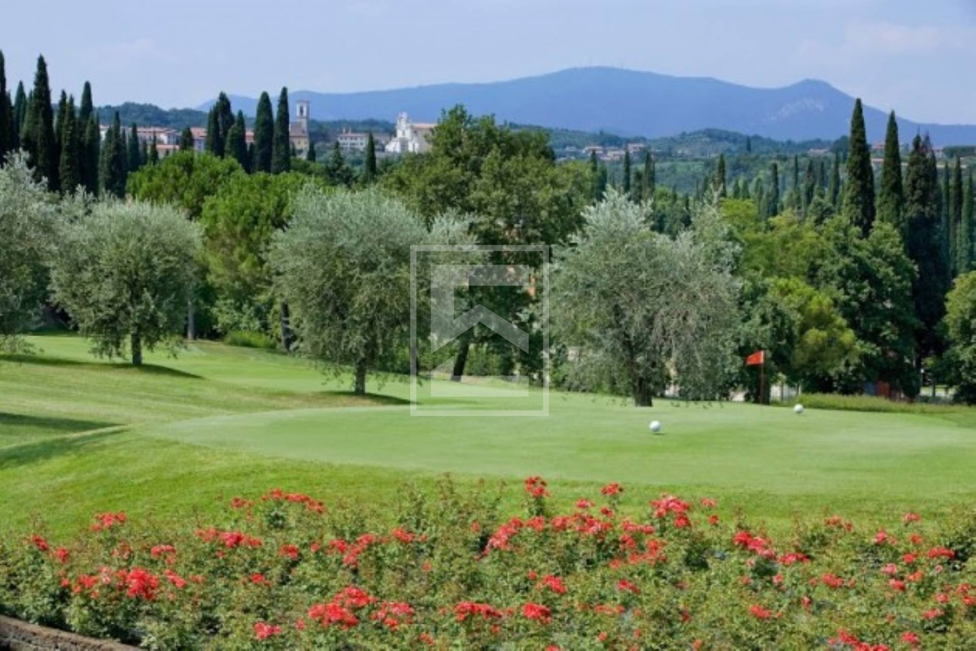 Appartamento in vendita a Soiano Del Lago (BS)